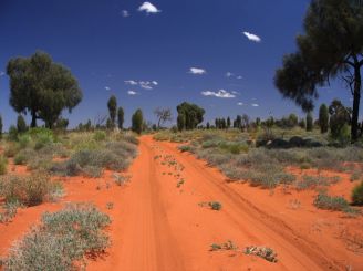 Australia’s wild life extreme