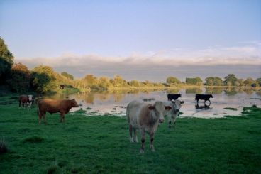 Parc national de South Downs