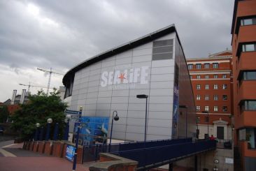 Sea Life Centre in Birmingham